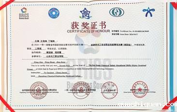 一带一路绿色化工安全技术-王婧王浩琦丁瑞奇